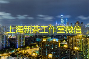 上海品茶工作室：上海的秘密乐园：发现上海后花园的惊喜与欢乐