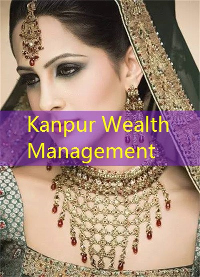 Ahmedabad Wealth Management：Company